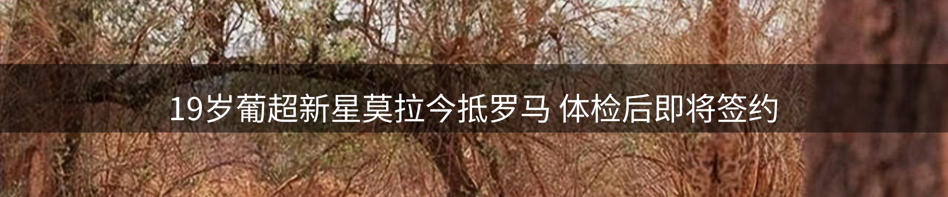新闻速览
